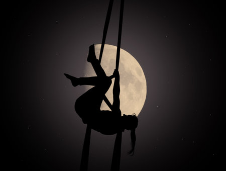 aerial acrobatic in the moonlightの写真素材
