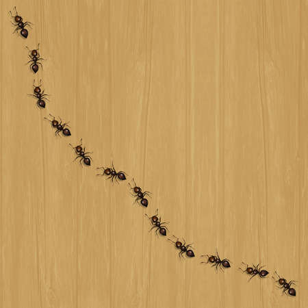 illustration of ants on the floorの写真素材