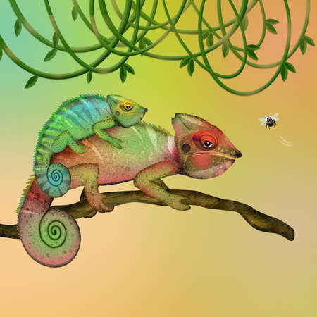 illustration of chameleons on branchの写真素材