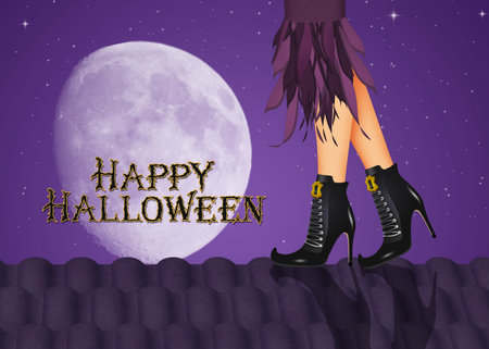 witch on the roof of Halloweenの写真素材