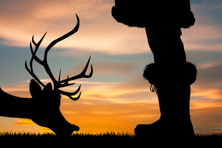 legs of Santa Claus and reindeer close up at sunsetの写真素材
