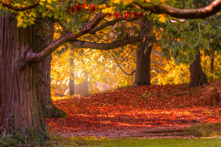 Autumn colors at the Monza Park