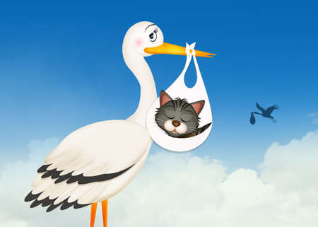 illustration of stork with little catの写真素材