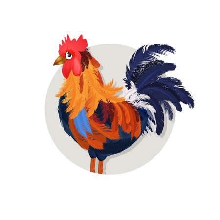 icon of rooster for horoscope Chinese on white backgroundの写真素材
