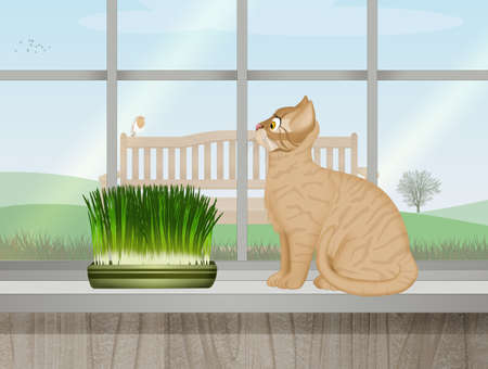 illustration of cat with catnip on the windowの写真素材