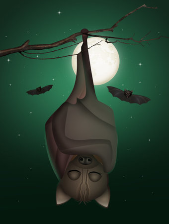 illustration of Halloween witch