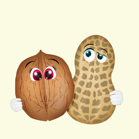 funny illustration of walnut and peanut