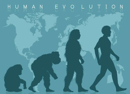 illustration of evolution humanの写真素材