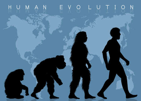 illustration of evolution humanの写真素材