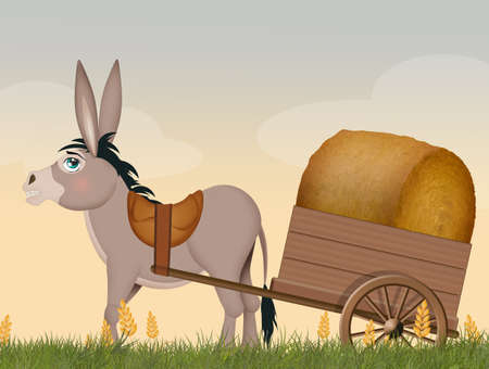 donkey pulling the cart in the countrysideの写真素材