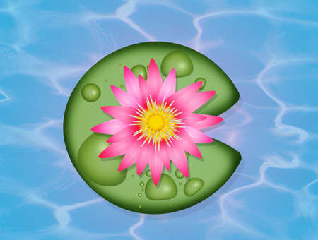 illustration of lotus flower in the waterの写真素材