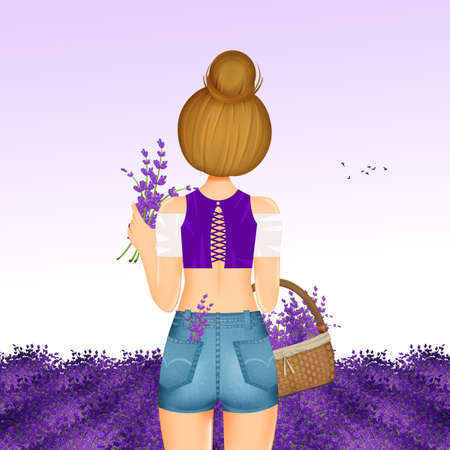 illustration of girl in the lavender fieldsの写真素材