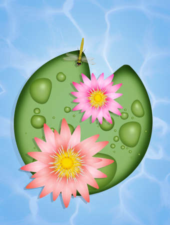 illustration of water lilyの写真素材