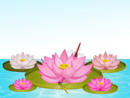 illustration of water lilies in the pondの写真素材