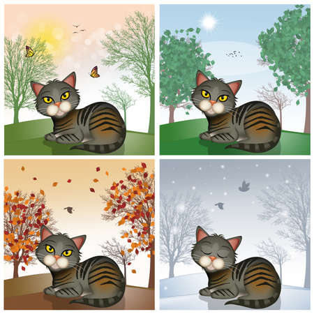 cat in the landscape in the four seasonsの写真素材
