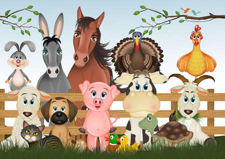 illustration of farm animalsの写真素材