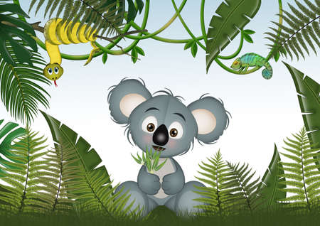 illustration of koala in the tropical forestの写真素材