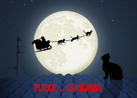 Santas sleigh with catsの写真素材