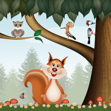illustration of squirrel in the woodsの写真素材