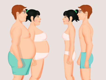 illustration of obese couple before and after dietの写真素材