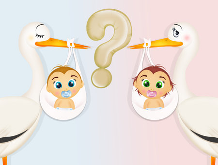 funny illustration of Gender revealの写真素材