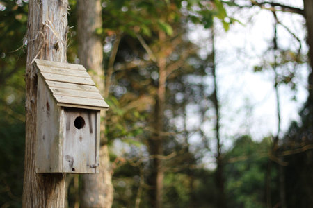 rustic birdhouse on a pole