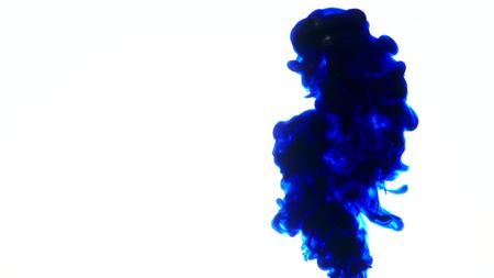 Blue ink in water.Creative slow motion. On a white background.の写真素材