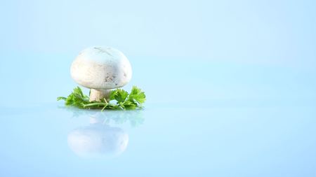 White mushrooms on white background.の写真素材