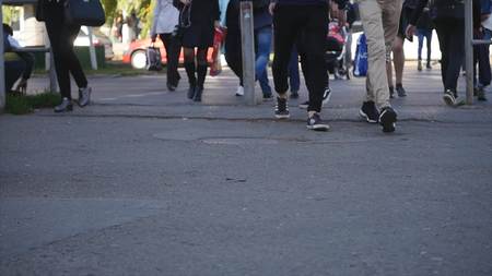 People crossing street. Crowded crosswalk. City life. time lipse.の写真素材