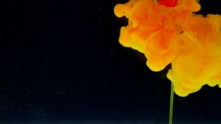 Abstract nature with flower and ink clouds on black background.の写真素材