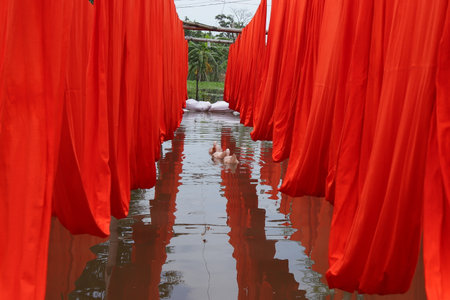textile fabric drying in the sunの写真素材