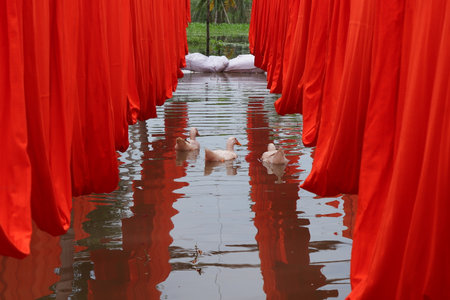textile fabric drying in the sunの写真素材