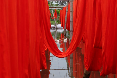 textile fabric drying in the sunの写真素材