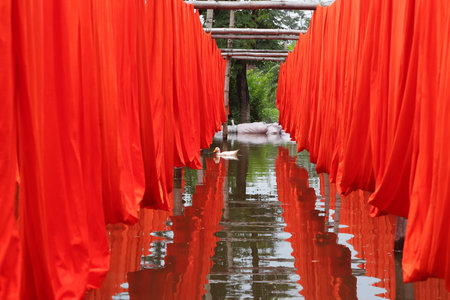 textile fabric drying in the sunの写真素材