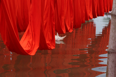 textile fabric drying in the sunの写真素材