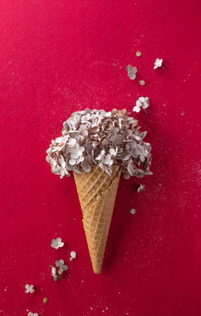 A waffle cone for ice cream lies in the background. On top of the hornの写真素材