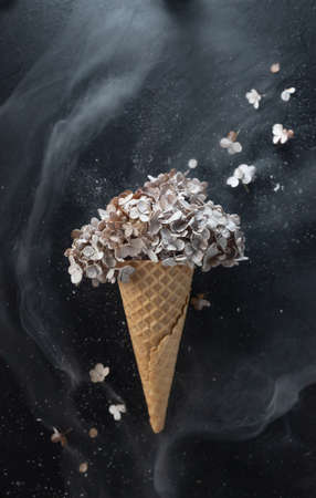 A waffle cone for ice cream lies in the background. On top of the hornの写真素材