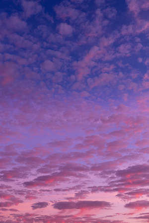 Sunset sky over the forest. clouds in the skyの写真素材