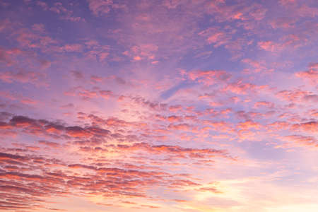 Sunset sky over the forest. clouds in the skyの写真素材