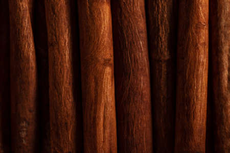 macrophotography of cinnamon sticks. top viewの写真素材