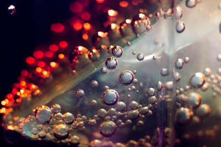 Air bubbles on a piece of ice in a liquid sodaの写真素材