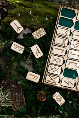 set of wooden runes in a box lie on the moss in the forest. rectangular wooden platforms on which Scandinavian runes are carved lie on green moss surrounded by salt, cones, fir needles and barkの写真素材