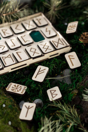 set of wooden runes in a box lie on the moss in the forest. rectangular wooden platforms on which Scandinavian runes are carved lie on green moss surrounded by salt, cones, fir needles and barkの写真素材