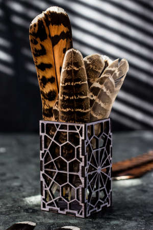 Large bird feathers stand in a patterned glassの写真素材