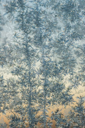 frost patterns on the glassの写真素材