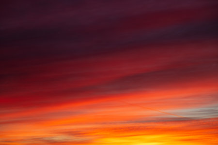 Sunset over the forest, red, yellow, purple cloudの写真素材