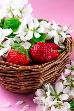ripe strawberries and white flowers lie in a wicker basket on a pink backgroundの写真素材