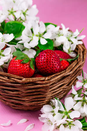 ripe strawberries and white flowers lie in a wicker basket on a pink backgroundの写真素材