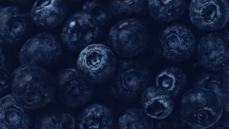 Macro blueberries. The background of blueberries is close
