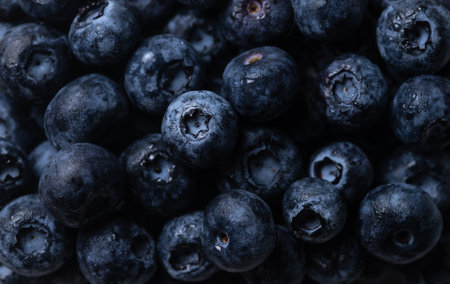 Macro blueberries. The background of blueberries is closeの写真素材